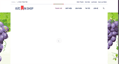 Desktop Screenshot of ductinshop.com